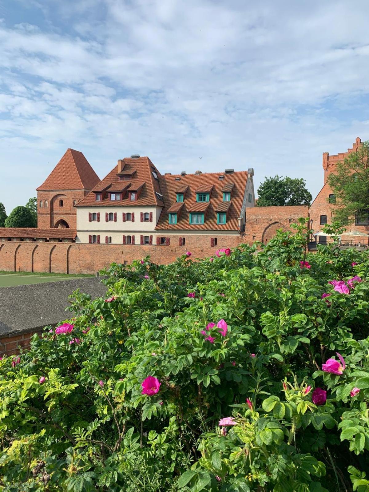 Apartament Stacja 11 Bulwar Ac Progres Stary Toruń Eksteriør billede